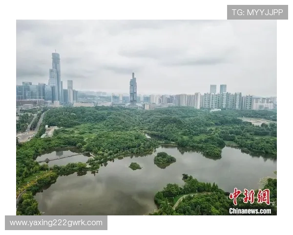 亚星登录手机版最新版本上线助你轻松登录畅享丰富的游戏内容